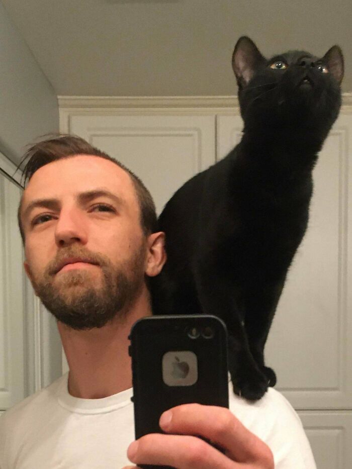 I Heard Something About “Shoulder Cats”?