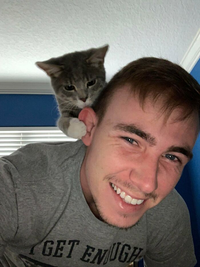 Parents New Cat Likes To Climb On My Shoulders And Play With My Ears