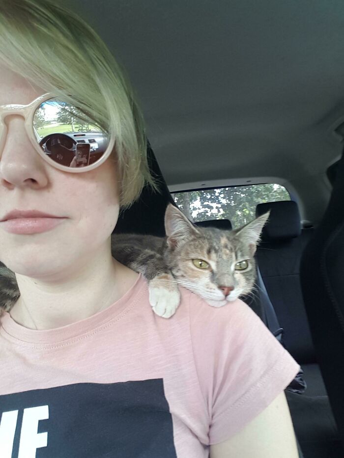 Whenever She Rides With Me. She Will Break Out Of Her Cat Cage And Sit On My Shoulders