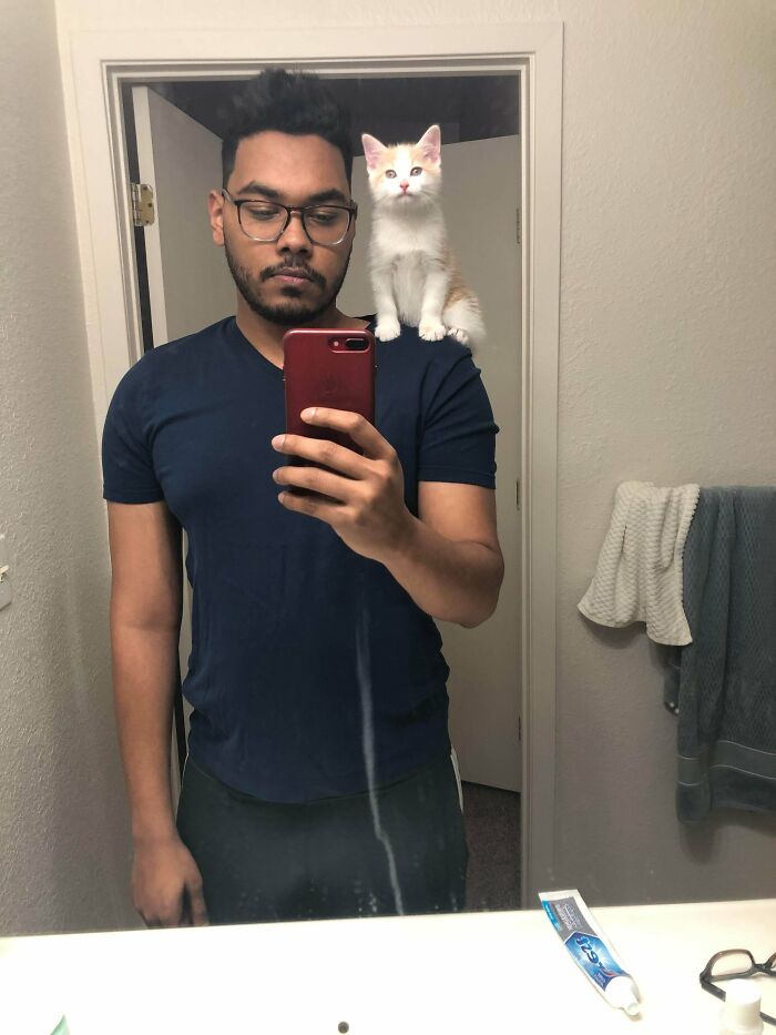 Alaska Here Loves To Hang Out On Your Shoulder