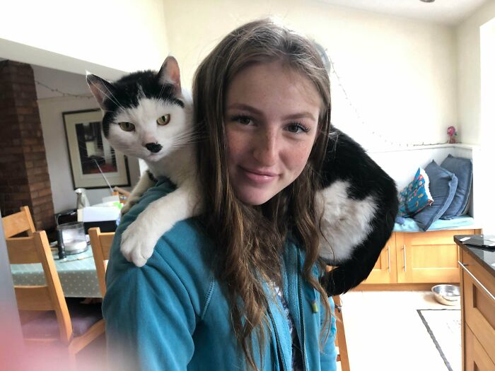 My First Time Today Experiencing A Shoulder Cat. I’ve Peaked In Life