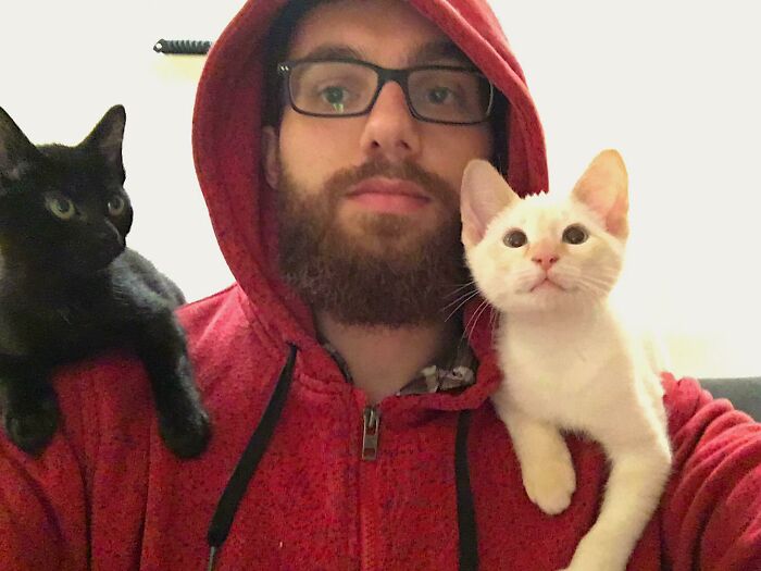 I See Your Shoulder Cat Pic And Double It