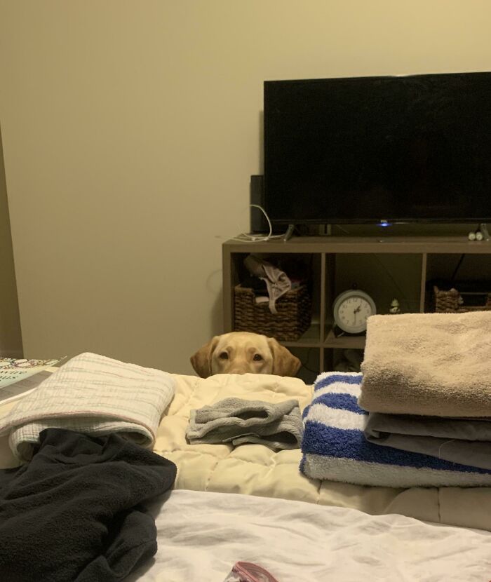 When I’m Doing Laundry But She Wants To Go To Bed And Gets Pissed There’s Towels In Her Spot