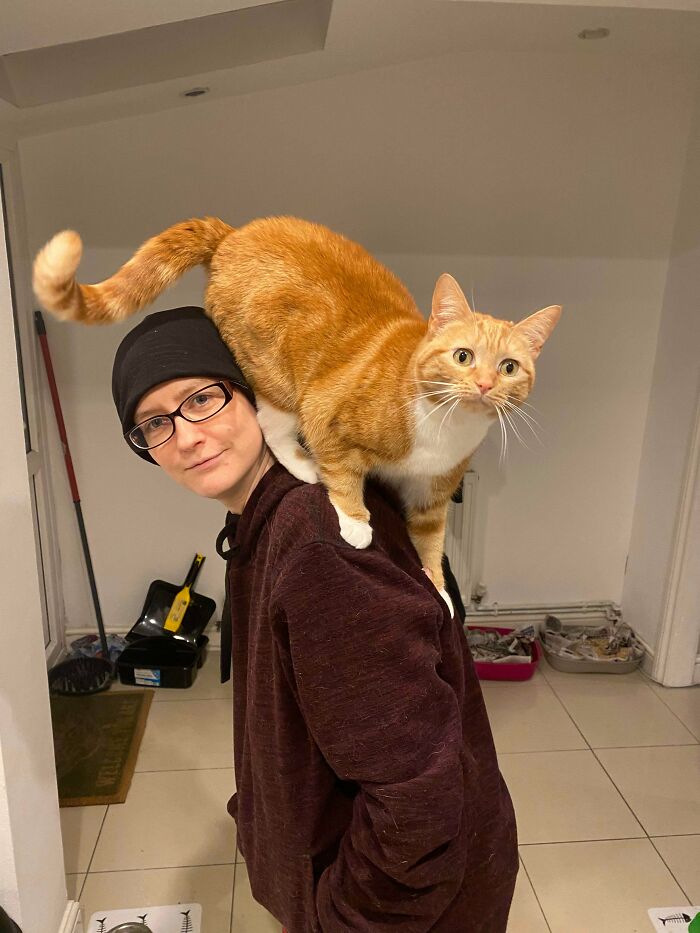 My Partner Would Like To Know If We’re Still Doing Shoulder Cats?