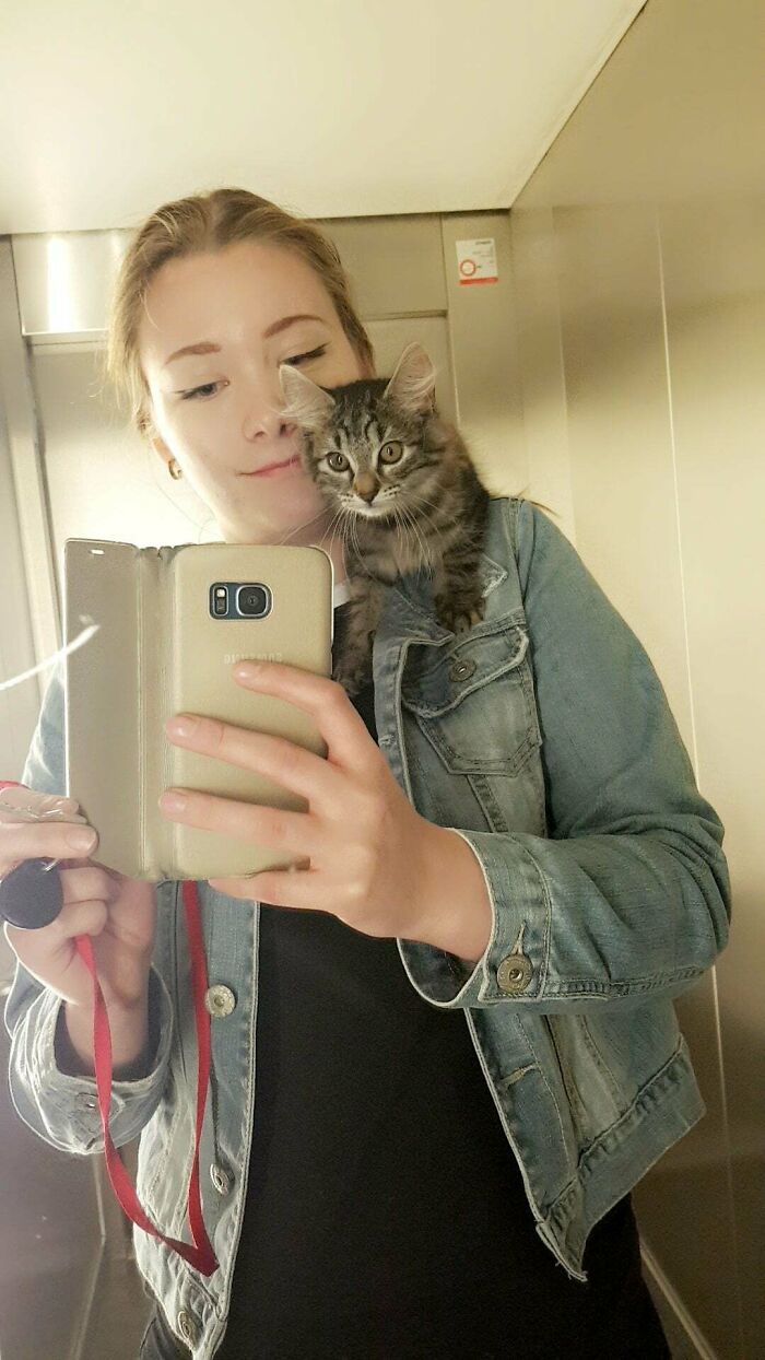 Kinda Late To The Party, But Shoulder Cat In Elevator