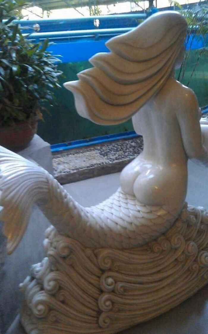 Apparently, Mermaids Have Butts