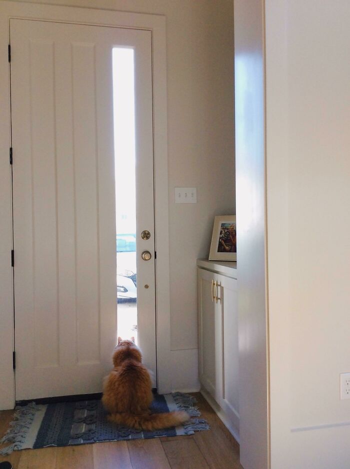 Mi marido lleva trabajando en casa desde el 27 de Marzo, pero Marty sigue esperándole en la puerta cada día a las 5