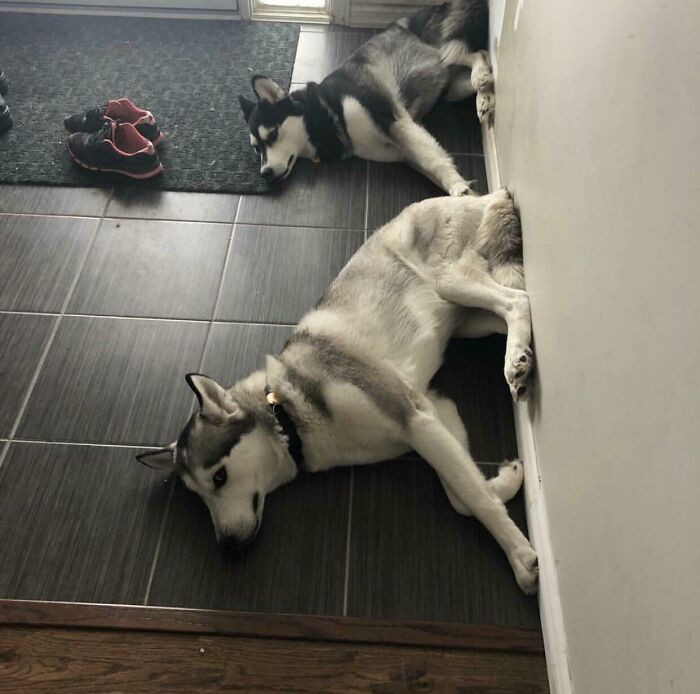 When One Sits On The Wall, Obviously The Other Has To, Too