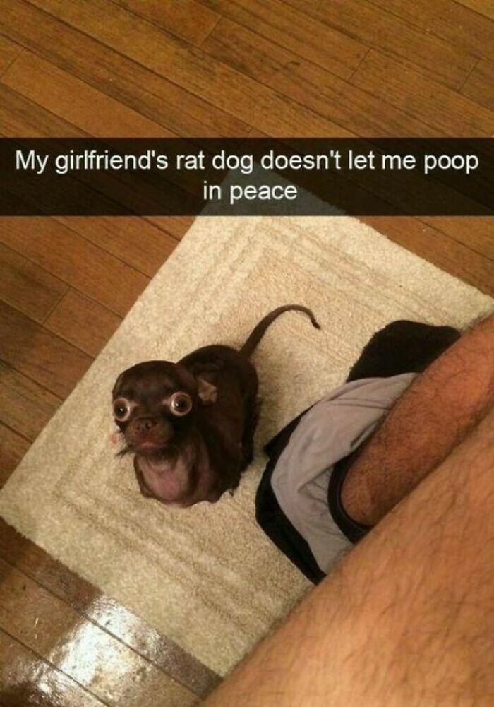 I Just Want To Poop In Peace