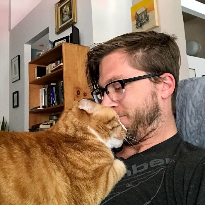 Cake Day Update: Hit 28 Months Sober Today, Got Extra Snugs From My Best Bud