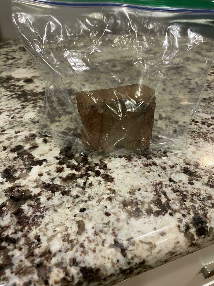 My Son Found A Piece Of Brick Outside And Put It In A Ziplock Bag For Safe Keeping And Brought It Inside