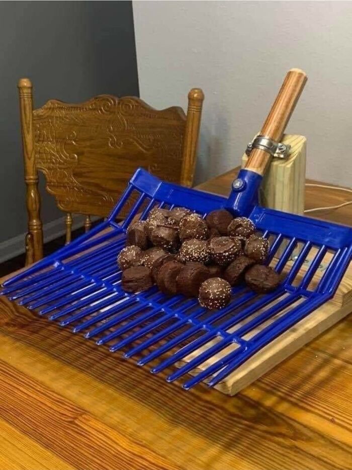 Chocolate "Horse Turd" Truffles On A Manure Fork. Just No