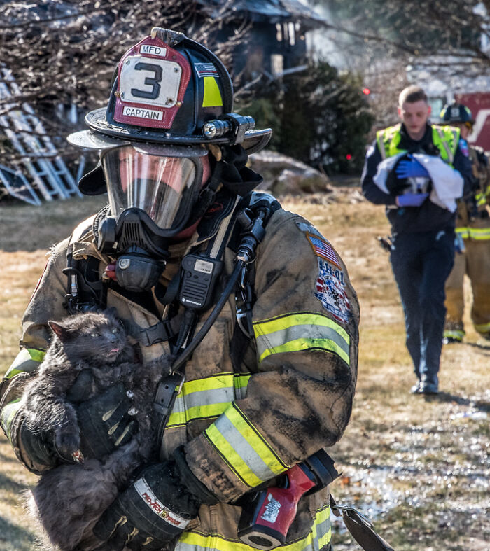 Fireman In My Town Saving A Kitty From A House Fire