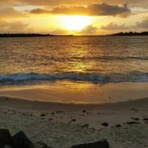 bryneandlorraine3 avatar