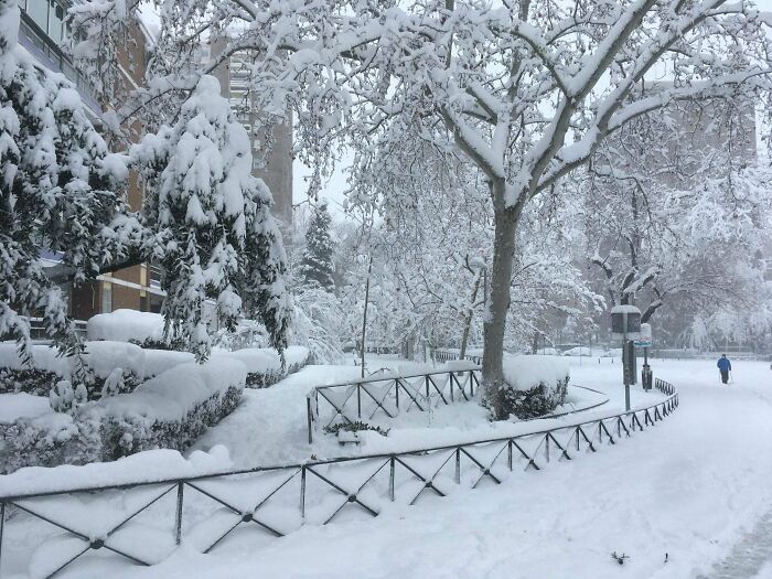 Record Snowfalls In Madrid Today