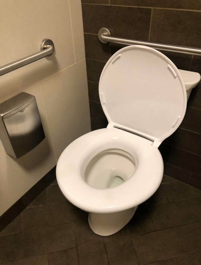 Easily The Largest Toilet Seat I Have Ever Encountered In My Bathroom Using Career. Just Tremendous