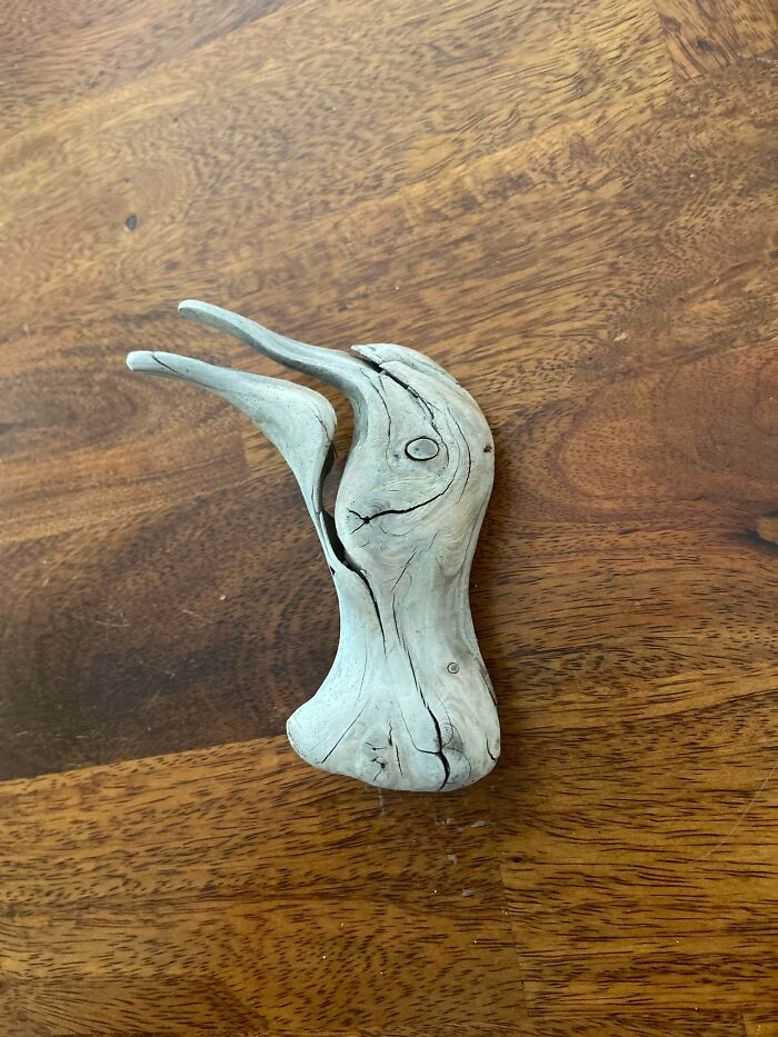 A Piece Of Driftwood That Looks Just Like A Seagull