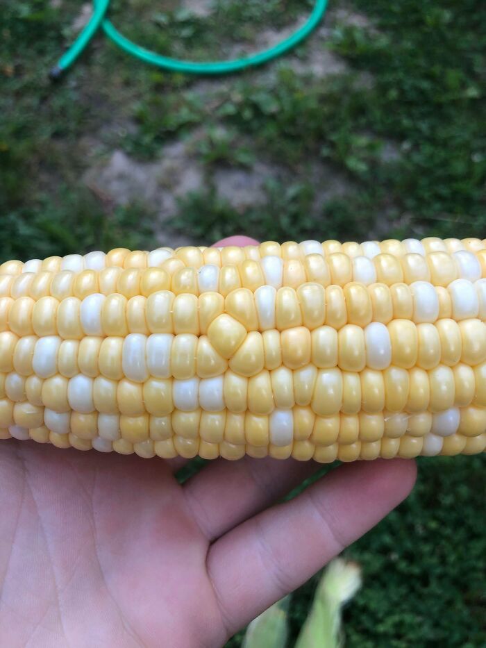 This One Kernel Out Of Place