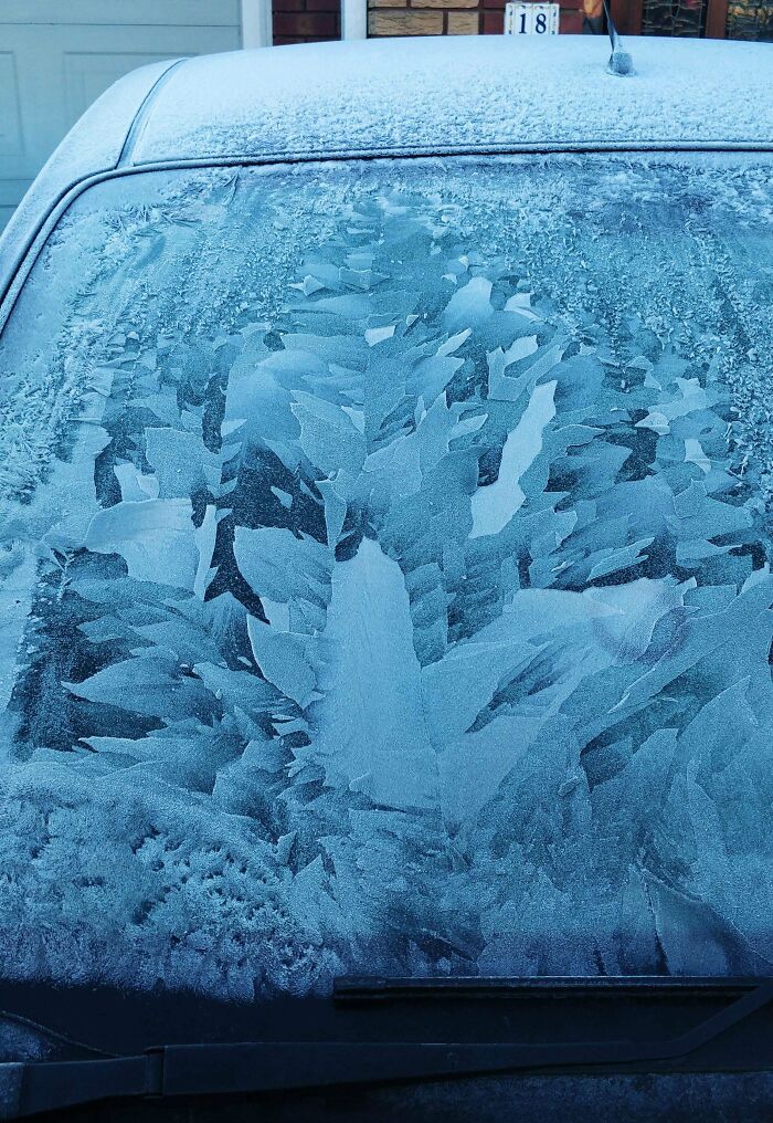 El patrón del hielo en mi parabrisas esta mañana