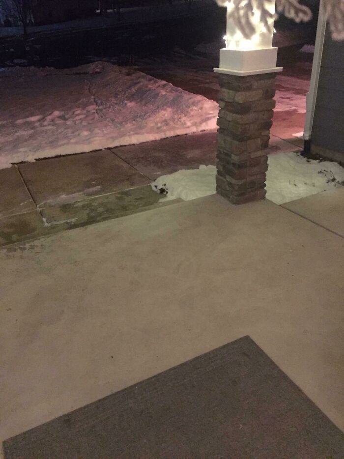 The Snow Outside My Porch Looks Like A Polar Bear Face