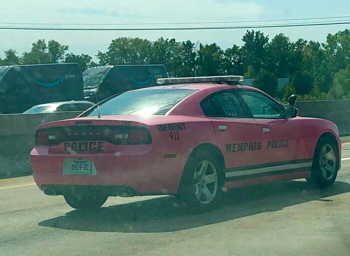 Pink Police Cruiser