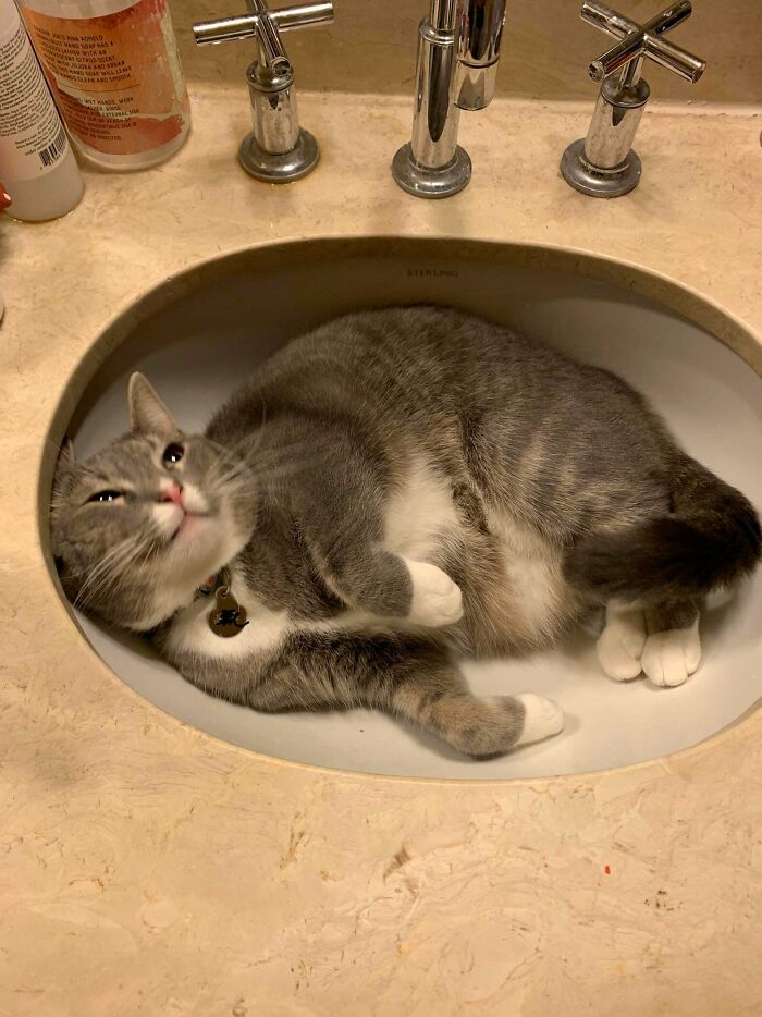 Seems The Sink Is A Little Clogged?