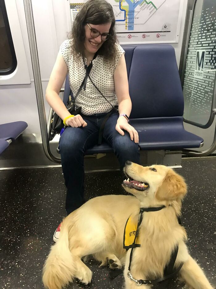 My Good Boi And Service Animal In Training, Nigel, Enjoying His First Practice Ride On The Metro