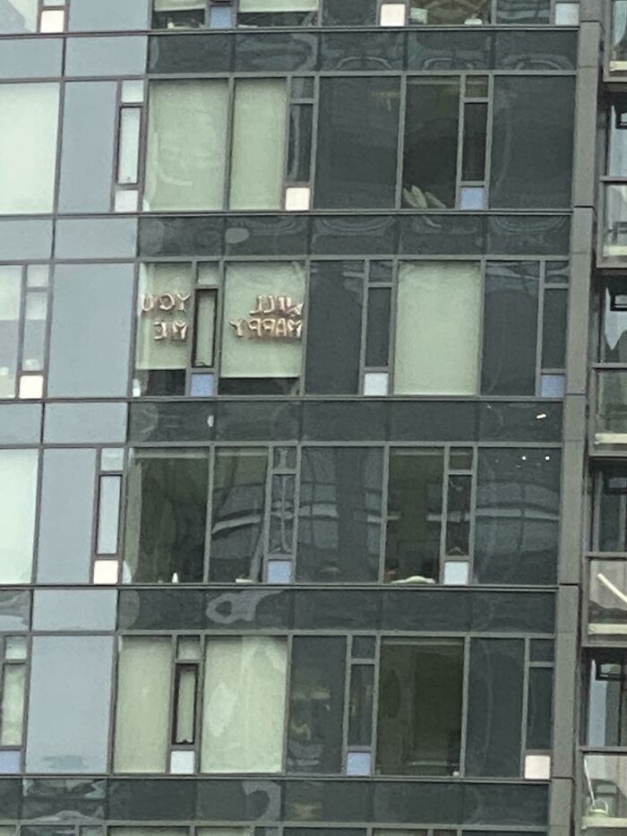 Someone In The Apartment Across From Mine Is About To Get Proposed To