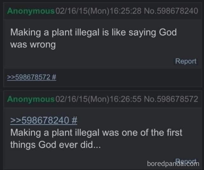 Illegal Plants