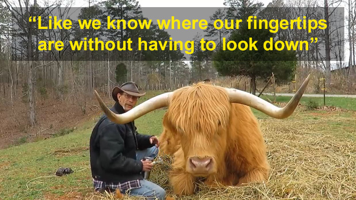 'If You're Being Poked, It's Intentional': Farmer's Video Where He Grooms A Long-Horned Scottish Highland Cow Goes Viral