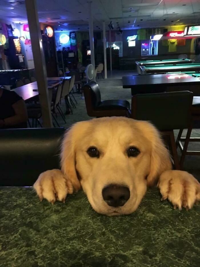 Ted Wanted French Fries At The Bar