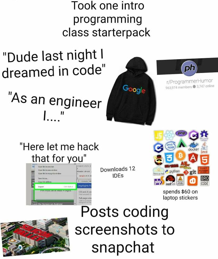 Took 1 Intro-Level Programming Class Starterpack