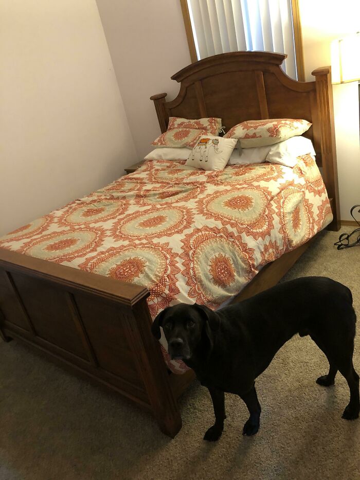 I’ve Hosted A Friend Since November Due To Her Depression. Today She Made Her Bed For The First Time. She’s At The Store Right Now