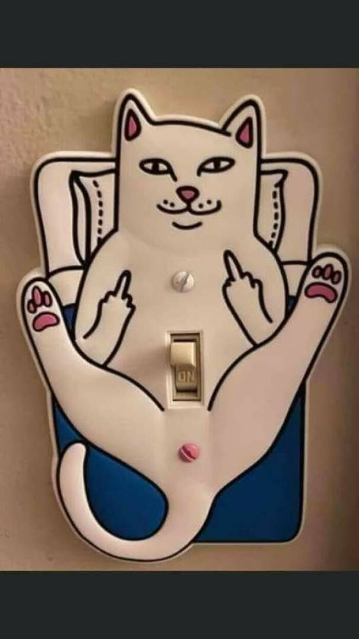 A Satisfied Lightswitch