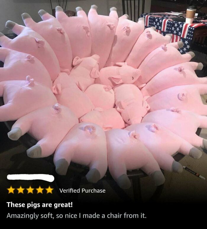 Esta silla hecha de cerdos