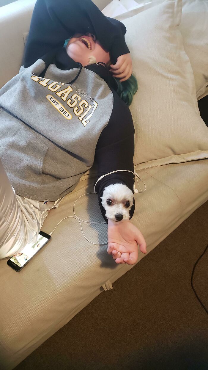 So, Cassidy (My Daughter) Was Snuggling Elsa (Our Rescue Pup) Under Her Hoodie. I Walked Into The Room And Asked "Where's Elsa?" Well, Elsa Tried To Get To Me
