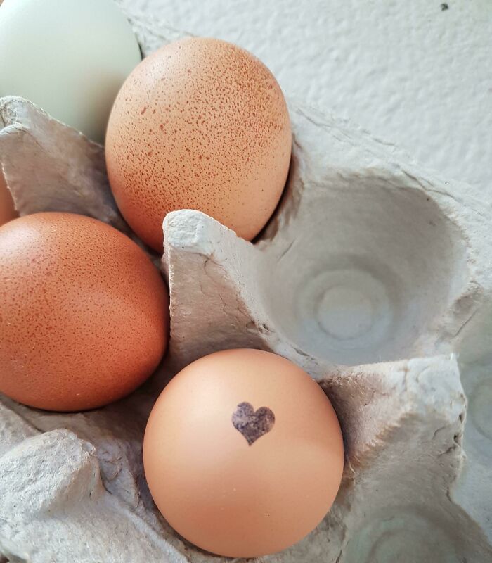 The Local Farm Occasionally Puts A Heart Stamp On The Eggs They Sell, And We Got One!