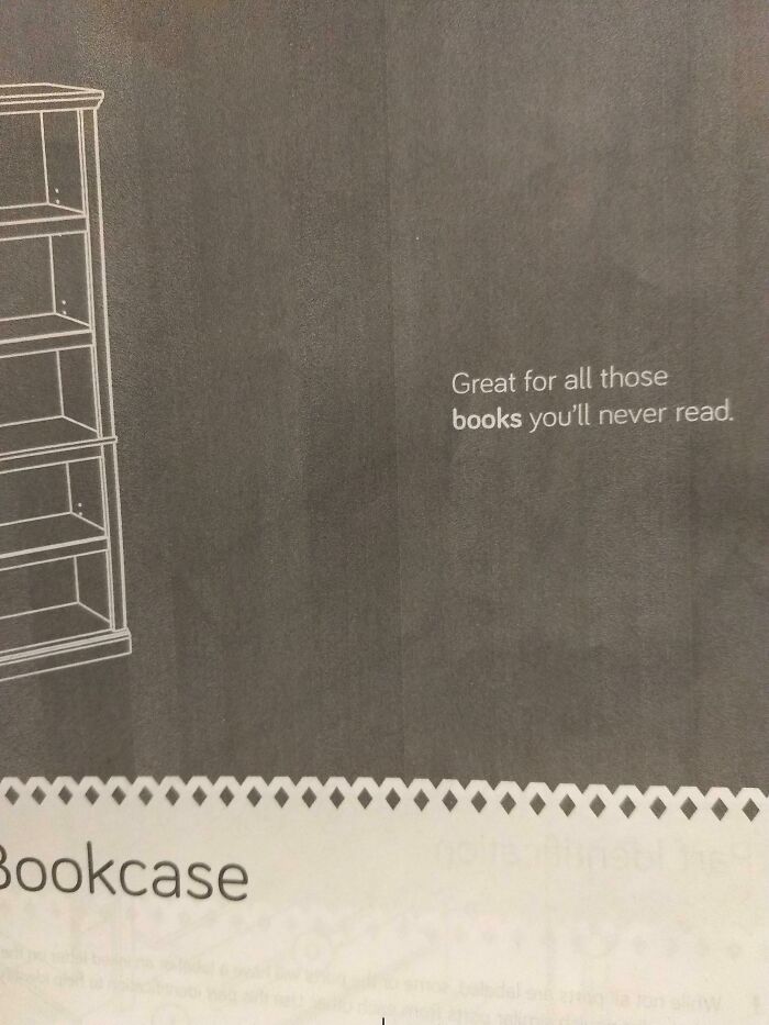 This Gave Me A Laugh! Front Of The Instructions For The Bookcase We Just Bought.
