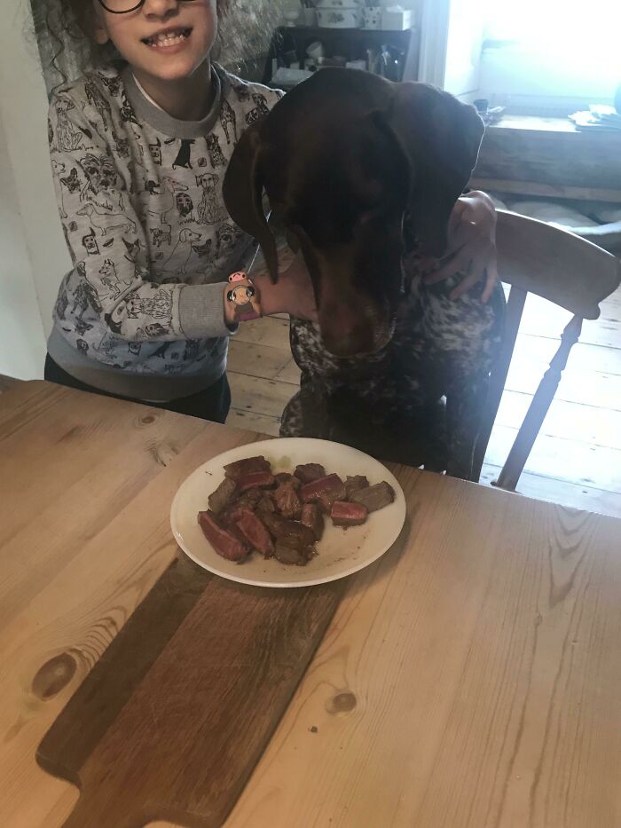 It’s My Dogs 4th Birthday, My Daughter Spent All Her Pocket Money Buying Her A Steak