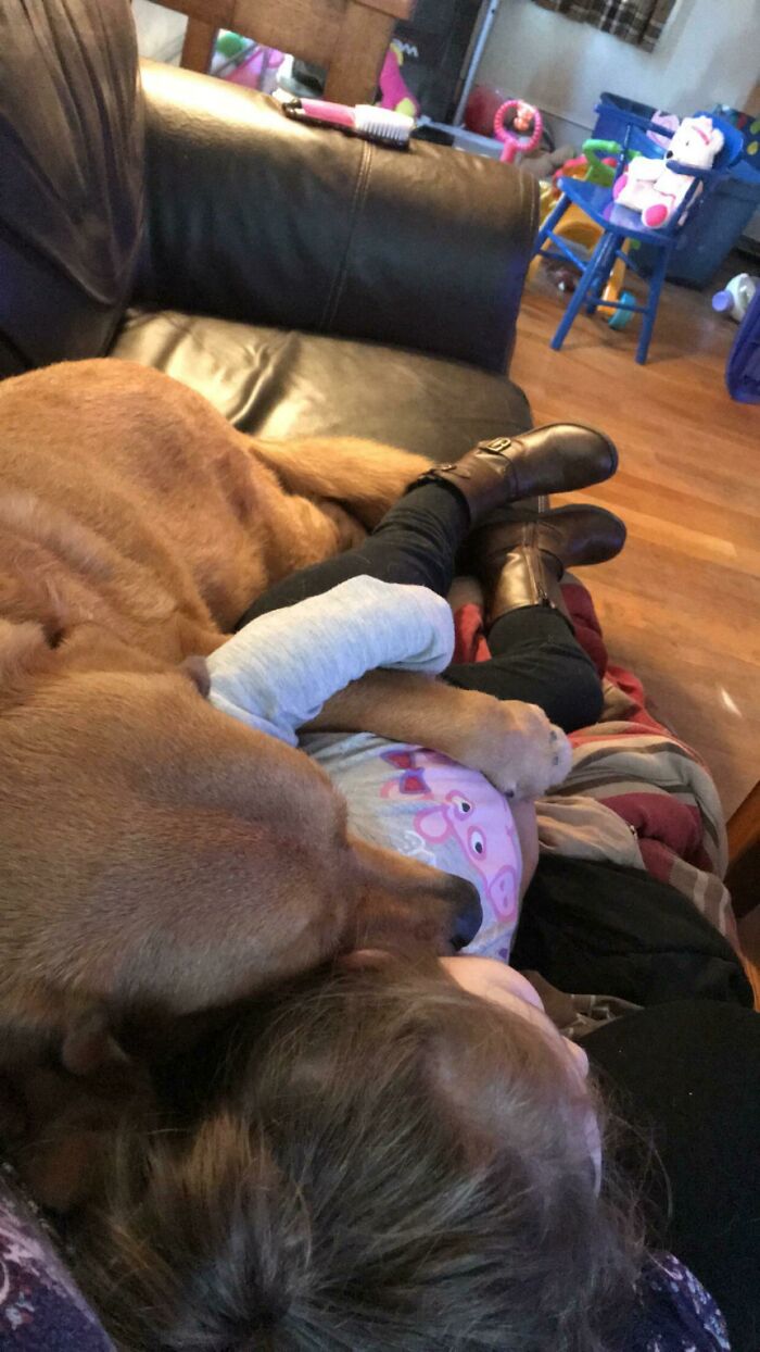 My Dog Thinks My Daughter Is His Baby. They Love Each Other So Much. This Is How They Fell Asleep Yesterday During Nap Time