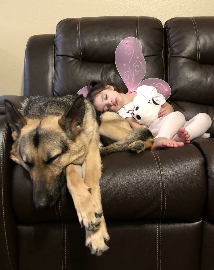 She’s Loyal, Protective, And Goofy. Meet My Daughter’s Best Friend