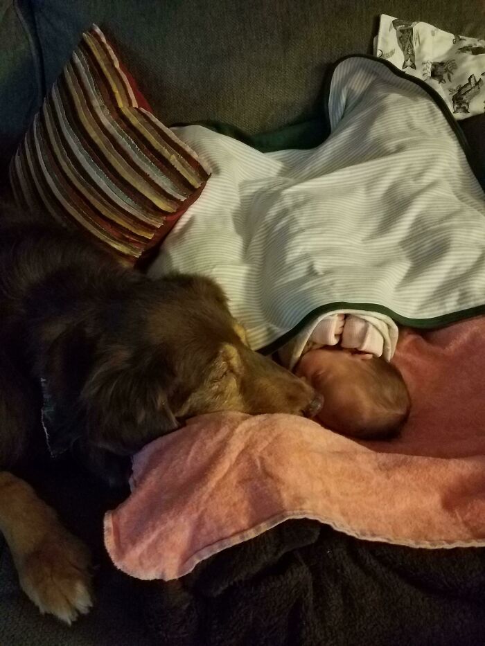 My Daughter Was Born Premature And After 11 Days In The Hospital We Got To Take Her Home To This