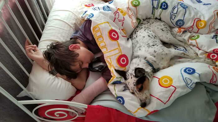My Son Broke His Arm And Ever Since He Came Home My Girlfriend's Dog Won't Leave His Side