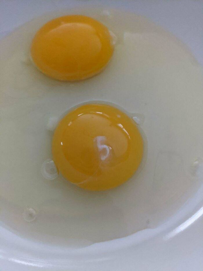 My Raw Egg Has The Number 5 On Its Yolk