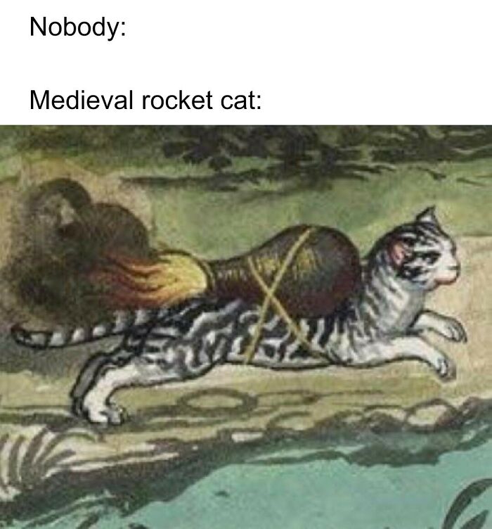 Midieval Rocket Cat