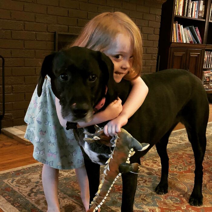 My Kid Now Wants To Hug All Dogs, Because My Dog Is So Patient With Her