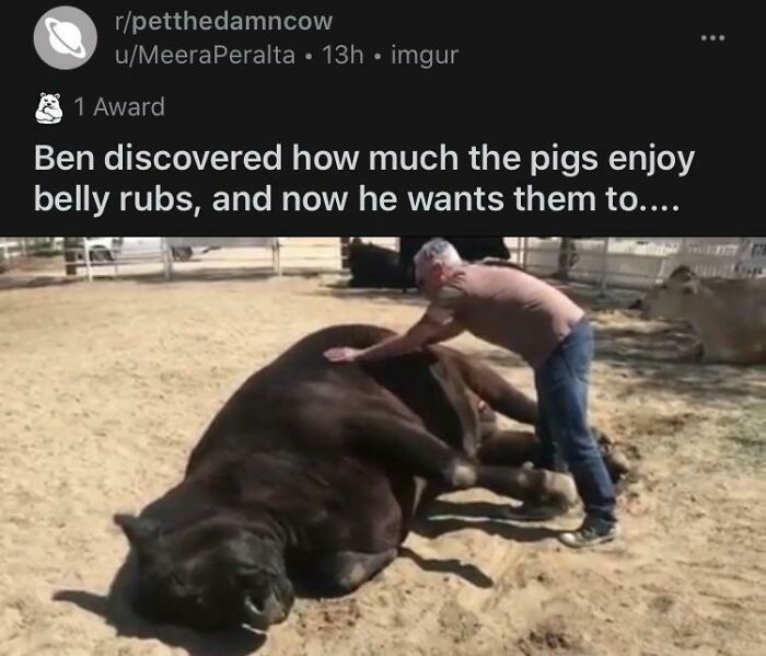 Absolute Unit Of A Moo Machine