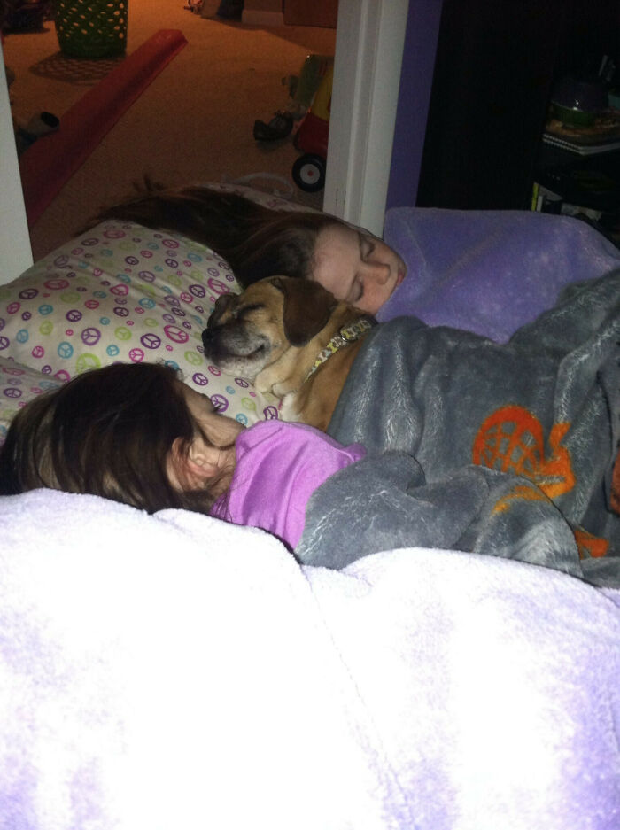 My Kids And A Spoiled Dog Waiting For Santa And Dreaming Of Sugar Plums