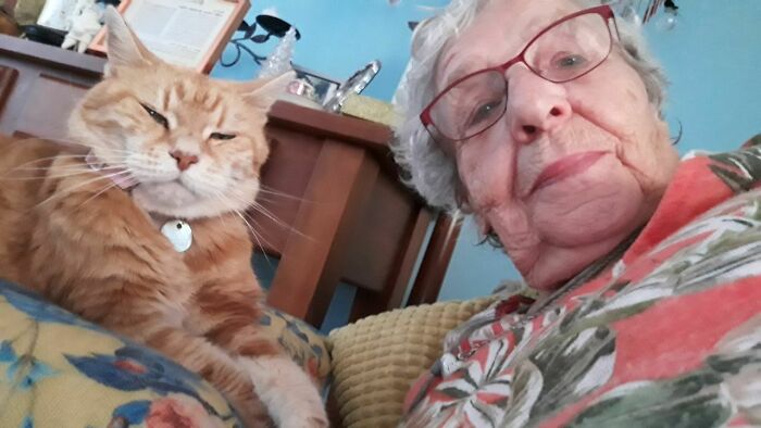My 90-Year-Old Nana And Her 23-Year-Old Cat Love Sending Me Goodnight Selfies