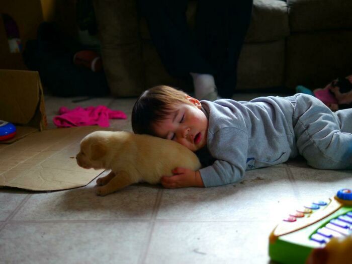 My Nephew Fell Asleep Holding A Puppy